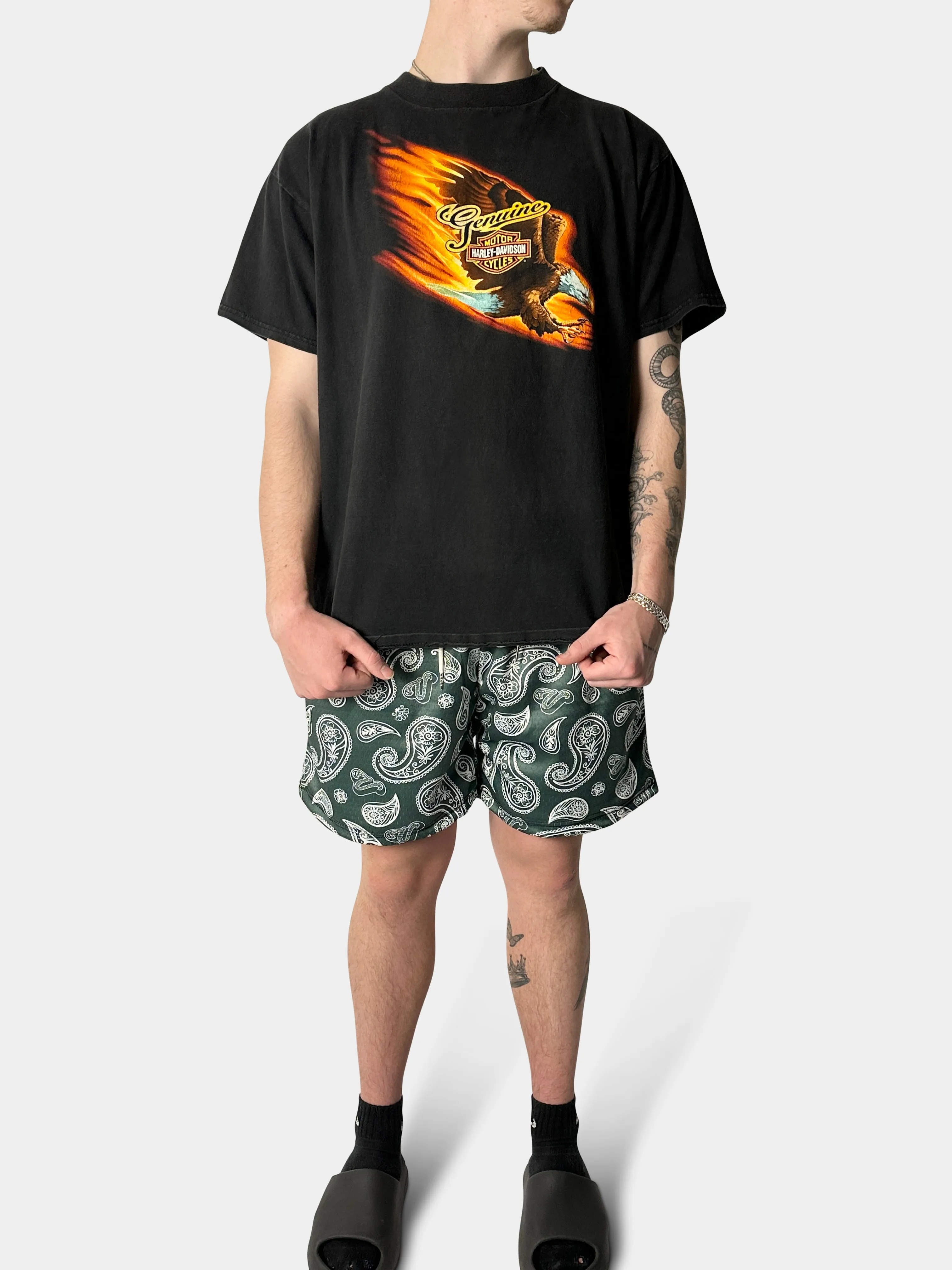 Vibn Paisley Heavyweight Mesh Shorts - Pine
